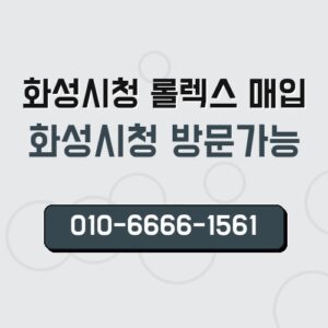 화성시청 롤렉스 매입