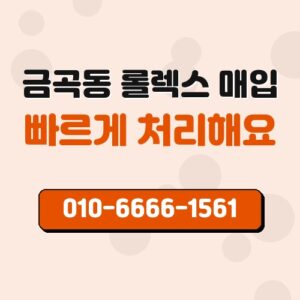 금곡동 롤렉스 매입