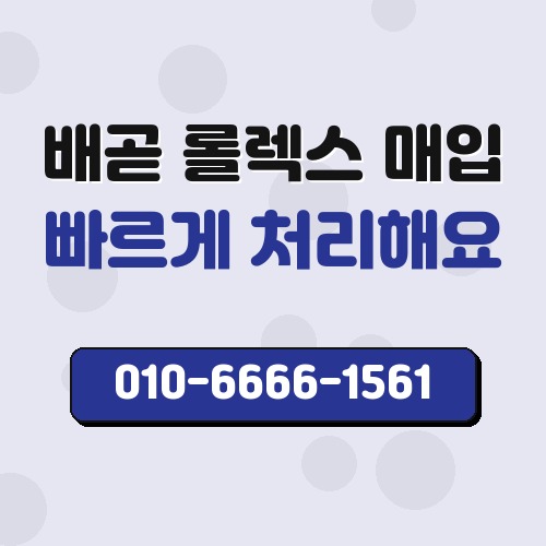 배곧 롤렉스 매입