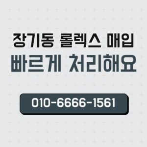 장기동 롤렉스 매입