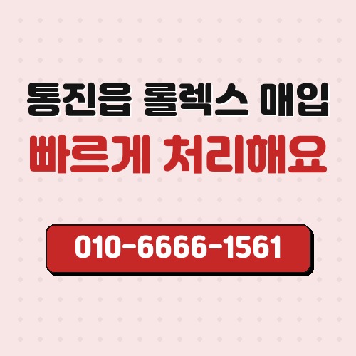 통진읍 롤렉스 매입