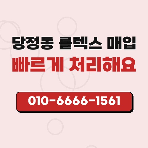 당정동 롤렉스 매입
