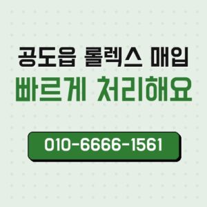공도읍 롤렉스 매입