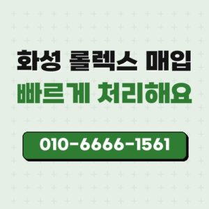 화성 롤렉스 매입