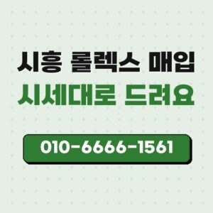 시흥 롤렉스 매입