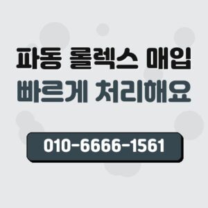 파동 롤렉스 매입