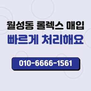 월성동 롤렉스 매입