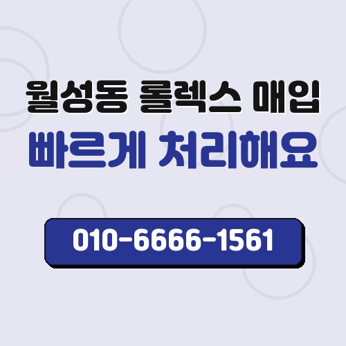 월성동 롤렉스 매입