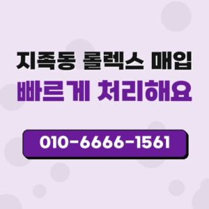 지족동 롤렉스 매입