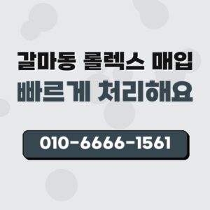 갈마동 롤렉스 매입