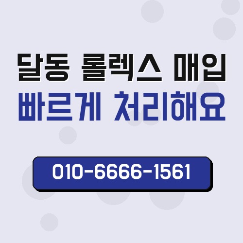 달동 롤렉스 매입
