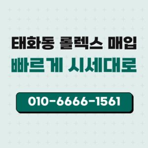 태화동 롤렉스 매입