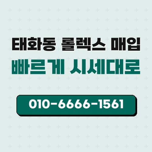 태화동 롤렉스 매입