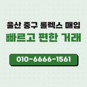 울산 중구 롤렉스 매입