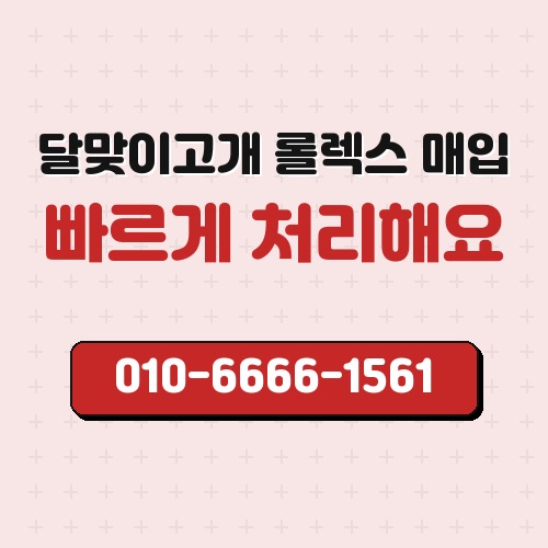 달맞이고개 롤렉스 매입