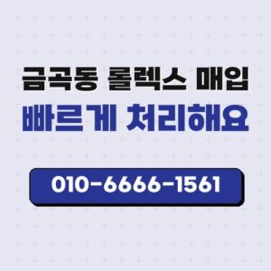 금곡동 롤렉스 매입