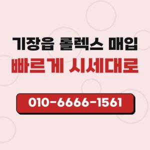 기장읍 롤렉스 매입