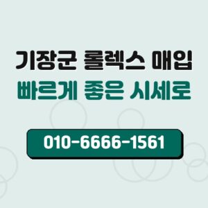 기장군 롤렉스 매입