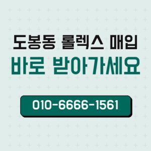 도봉동 롤렉스 매입