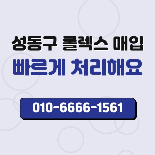 성동구 롤렉스 매입