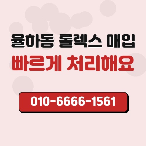율하동 롤렉스 매입