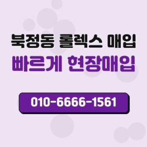 북정동 롤렉스 매입