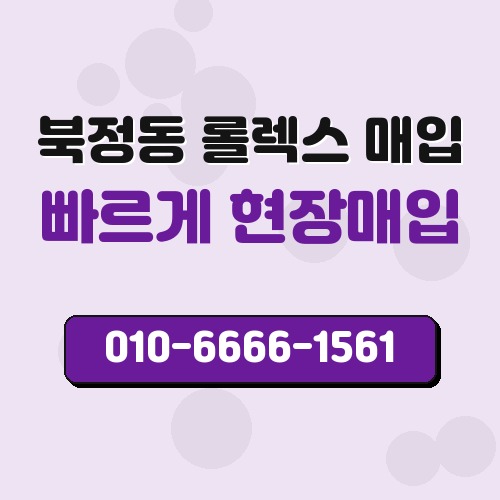 북정동 롤렉스 매입