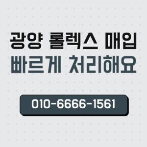 광양 롤렉스 매입