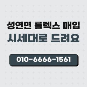 성연면 롤렉스 매입