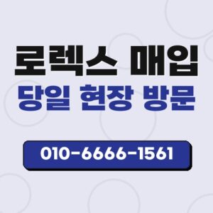 원주로렉스매입
