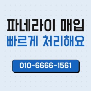 파네라이 매입