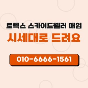 로렉스 스카이드웰러 매입