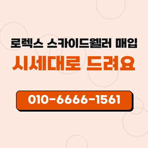 로렉스 스카이드웰러 매입