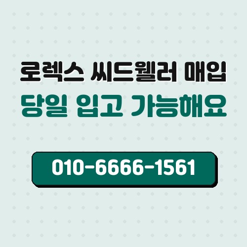 로렉스 씨드웰러 매입