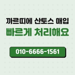 까르띠에 산토스 매입