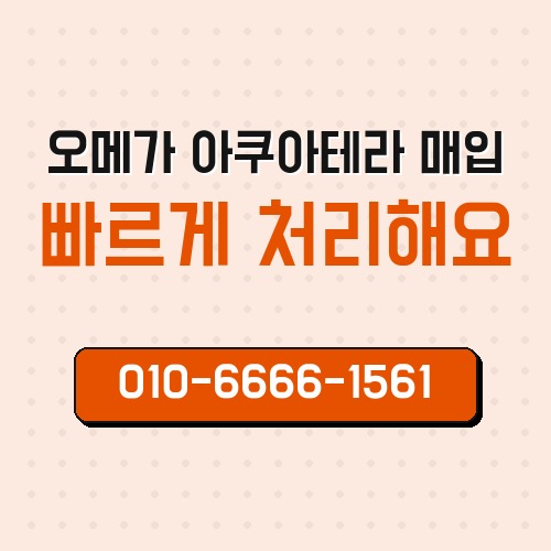 오메가 아쿠아테라 매입