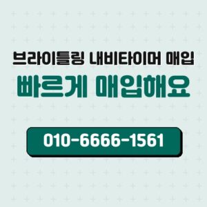 브라이틀링 내비타이머 매입
