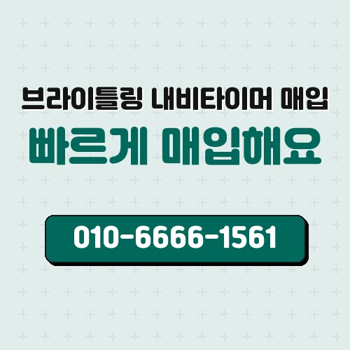 브라이틀링 내비타이머 매입