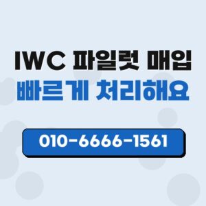 IWC 파일럿 매입