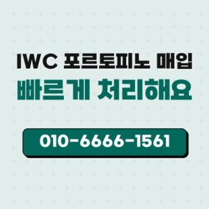 IWC 포르토피노 매입