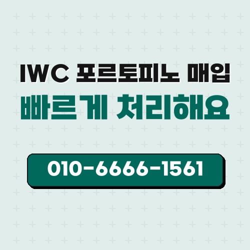 IWC 포르토피노 매입