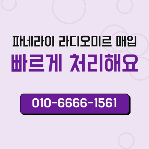 파네라이 라디오미르 매입