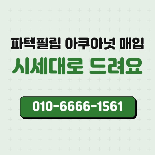 파텍필립 아쿠아넛 매입