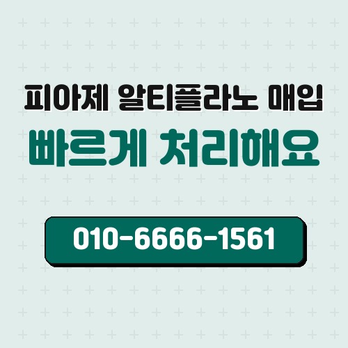 피아제 알티플라노 매입