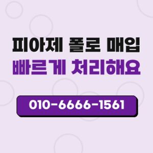 피아제 폴로 매입