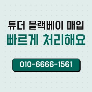튜더 블랙베이 매입