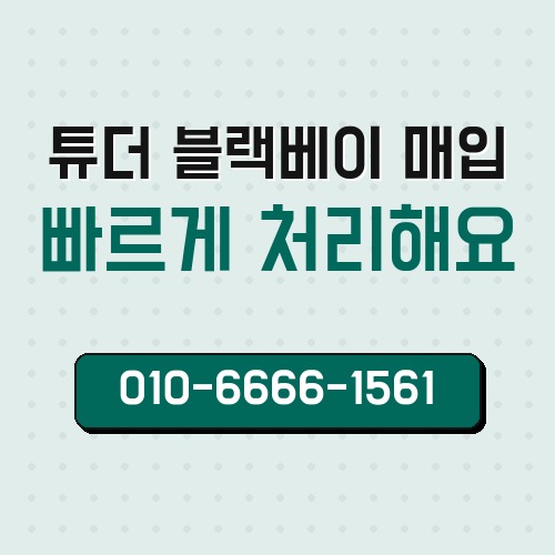 튜더 블랙베이 매입