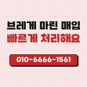 브레게 마린 매입