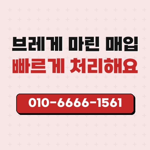 브레게 마린 매입