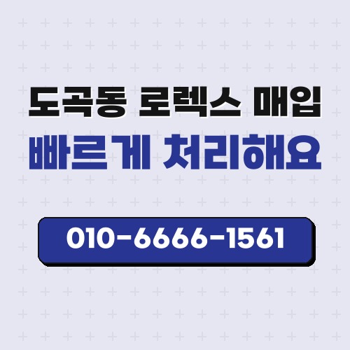 도곡동 로렉스 매입